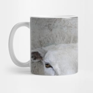 The Lamb Whisperer Mug